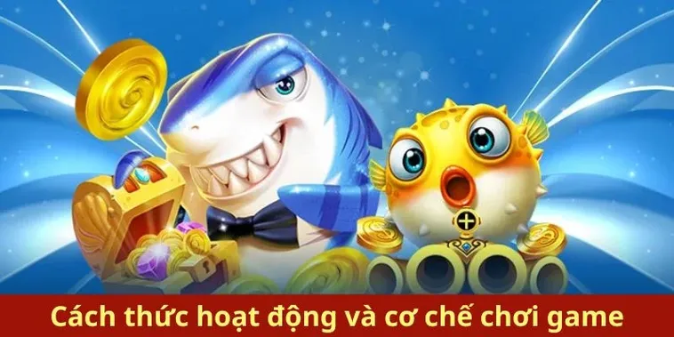 Bí Kíp Chinh Phục Royal Fishing 8XX Thu Tiền Tỷ Mỗi Ngày