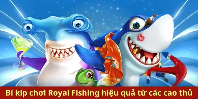 Bí Kíp Chinh Phục Royal Fishing 8XX Thu Tiền Tỷ Mỗi Ngày