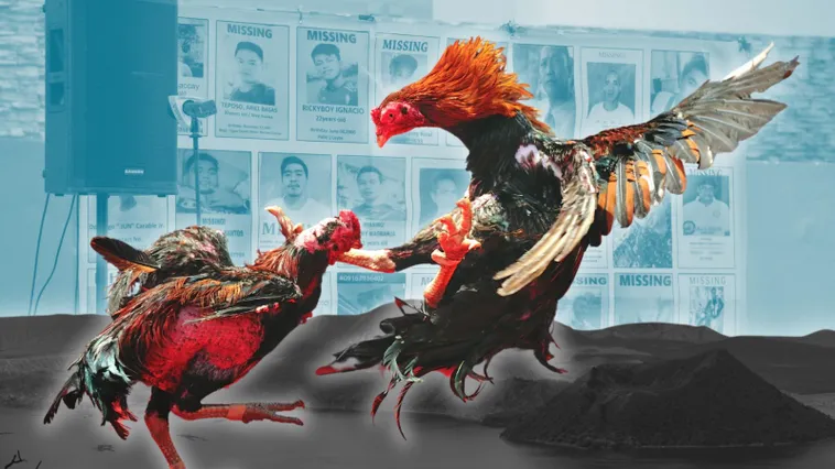 Bí Kíp Cách Chơi Đá Gà Sabong Tại 8XX Ăn Tiền Thưởng Cực Khủng