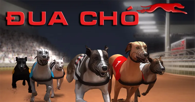 Bí Quyết Chơi Game Nhanh Đua Chó Tại 8XX Thắng Lớn Bất Ngờ