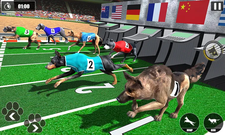 Bí Quyết Chơi Game Nhanh Đua Chó Tại 8XX Thắng Lớn Bất Ngờ
